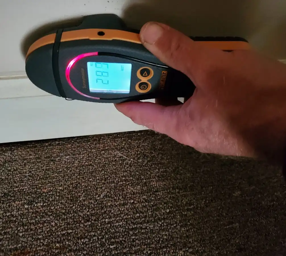 Moisture detection at baseboard during Sewage Cleanup & Sanitation in PiÃ±on Hills
